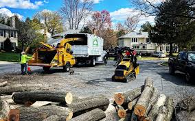 Best Hazardous Tree Removal  in Maryland City, MD